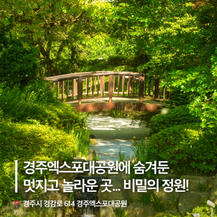 Discover the Hidden Charm of Gyeongju Expo Grand Park: A Stroll Through the Secret Garden541