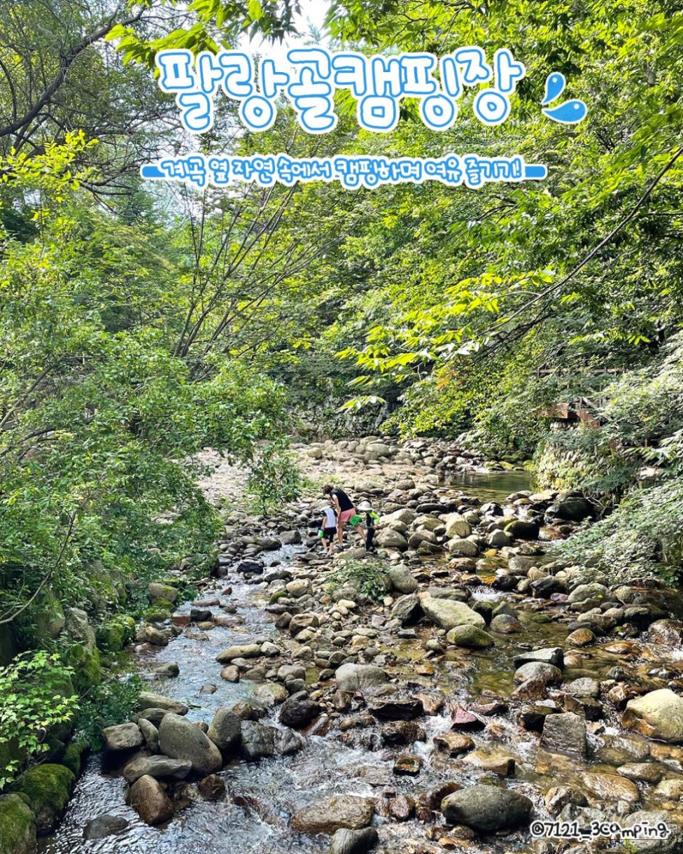 Families enjoying camping and water play at the scenic Palanggol Camping Site