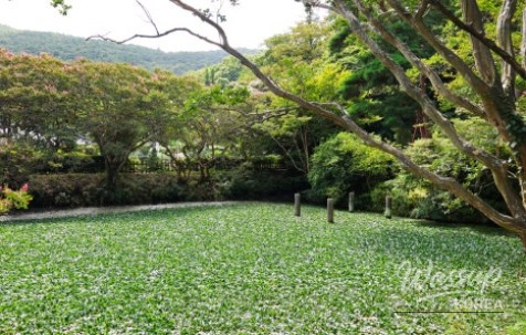 Impressive Appearance