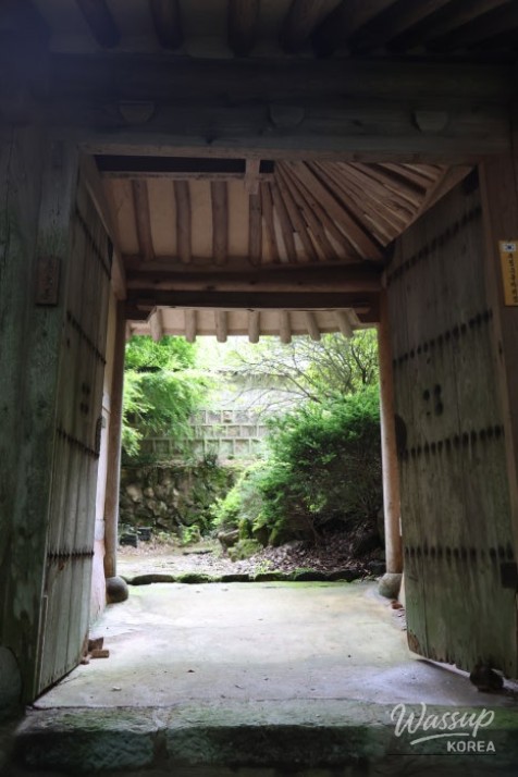 Mysterious appearance