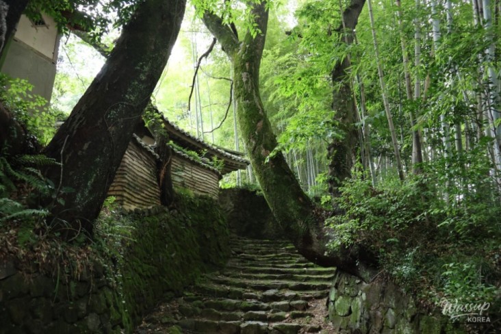 Impressive appearance