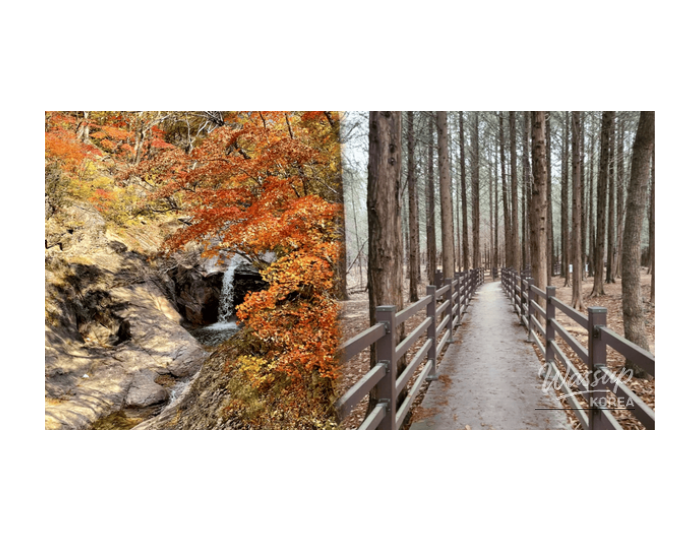 Fall Foliage Treks: Discover Korea's Best Quiet Trails float