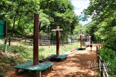 Mountain scenery surrounding the recreation forest