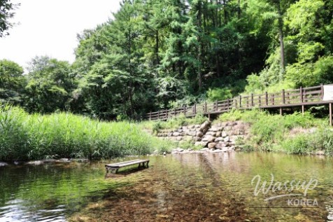 Rocks and clear water detail in the valley