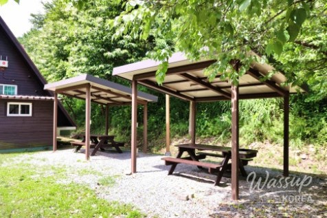 Natural stream stones and clear water in the valley