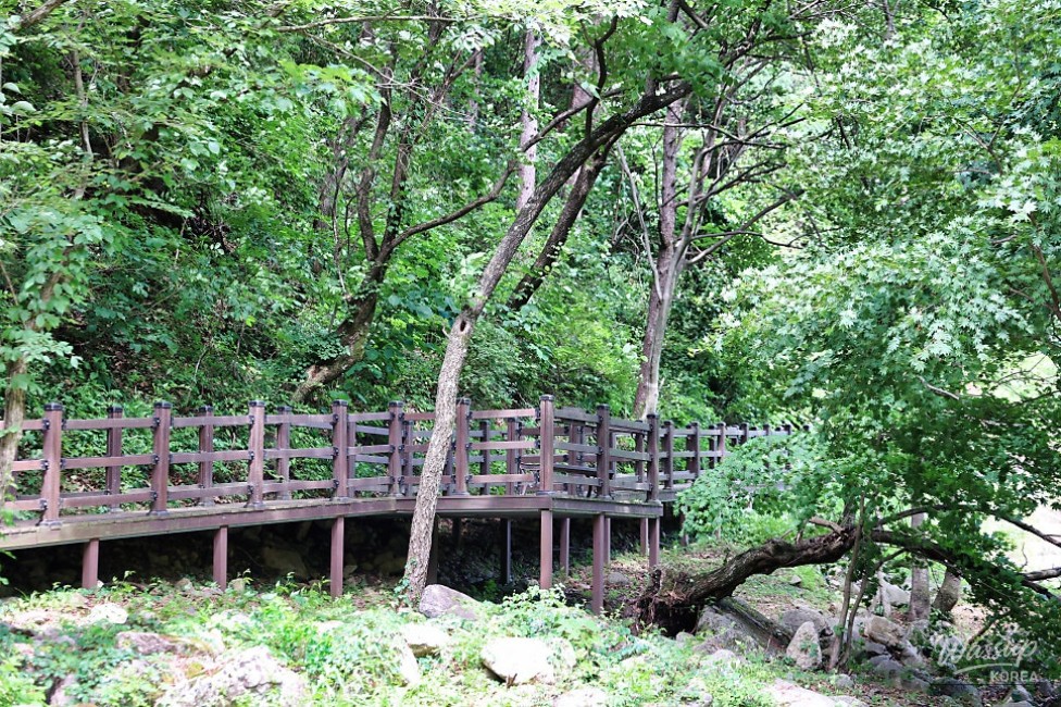 Internal view of a forest cabin room