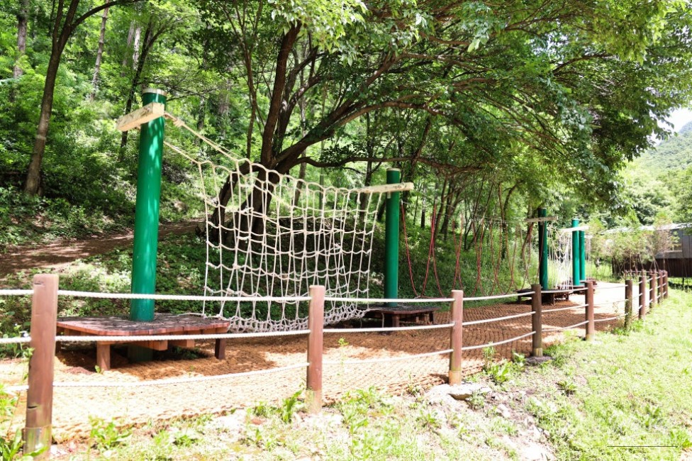 The forest cafe building exterior