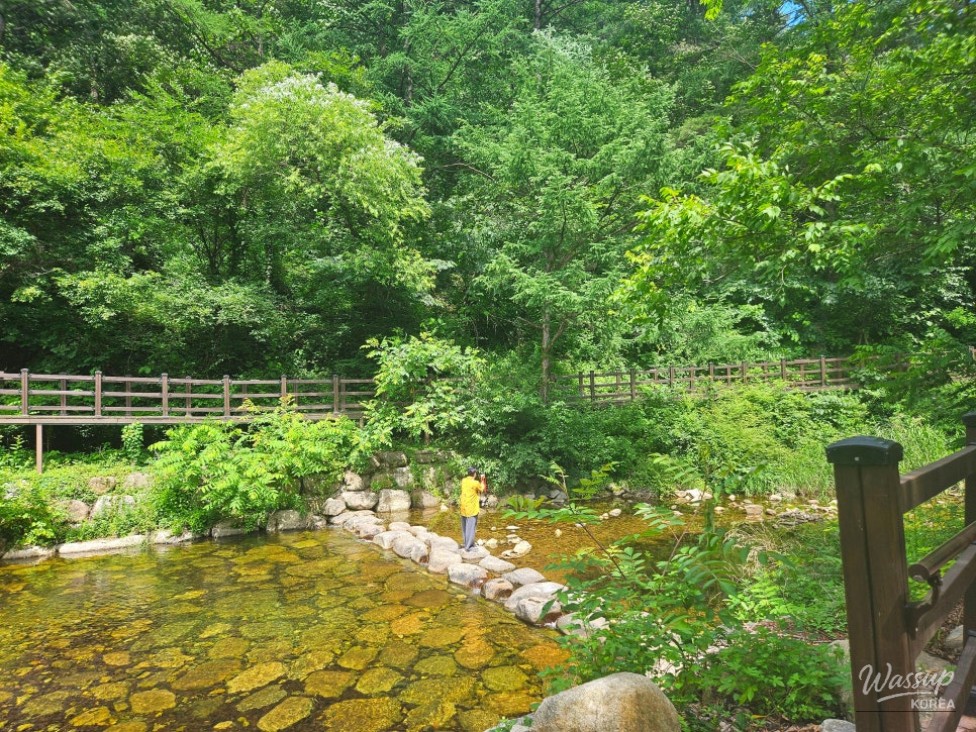 Refreshing water flowing through the Kwangchi Valley stream