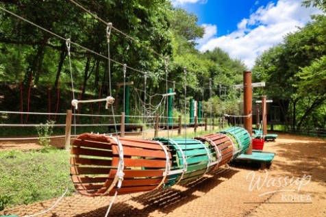 A quiet spot by the stream for healing