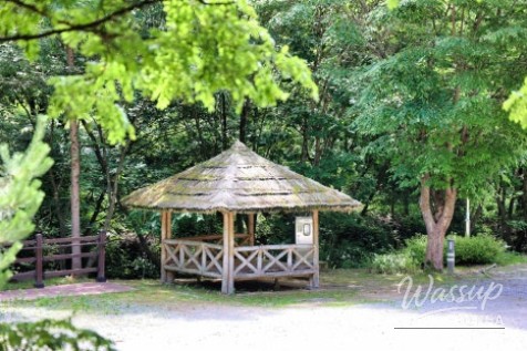 Comfortable seating area at the Forest Cafe