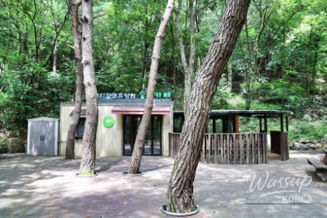 A sign welcoming visitors to the recreation forest