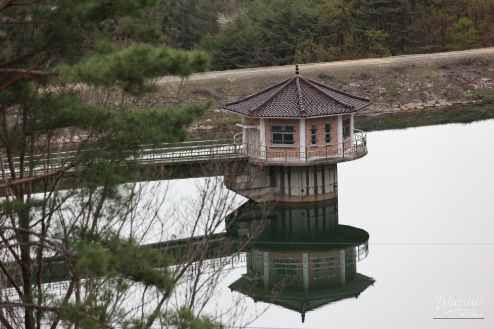 Traditional Tofu Hot Pot with mushrooms and crown daisy at Jaeraesik Son Dubu