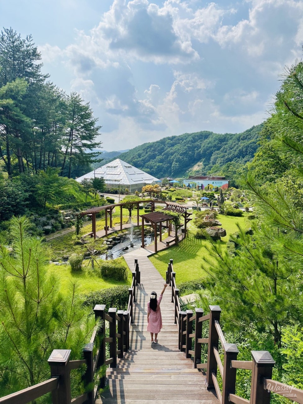 Lush walking trail with vibrant summer flowers at the arboretum