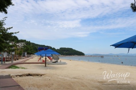 흥미로운 이미지