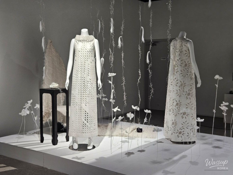 흥미로운 이미지