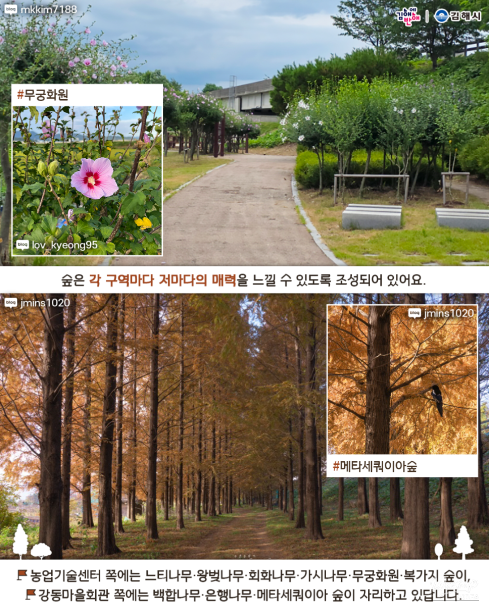 A long pavilion providing a shaded rest area in the forest
