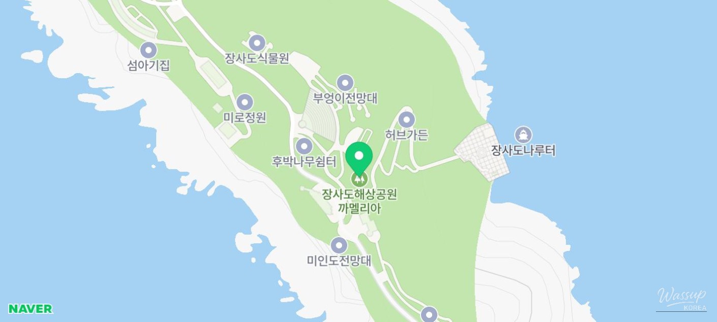 화려한 장면