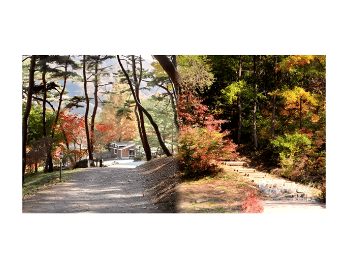 Discovering Tranquil Autumn Escapes in Jincheon, South Korea float