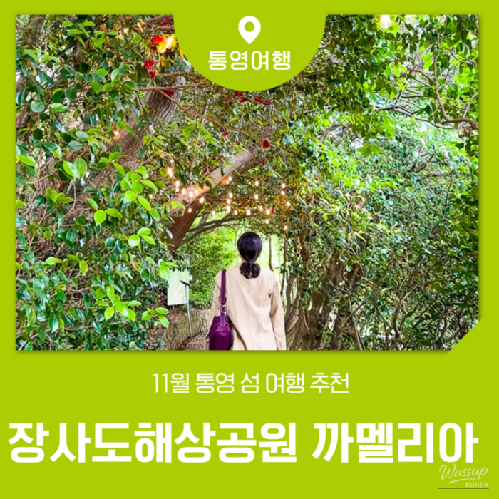 화려한 장면