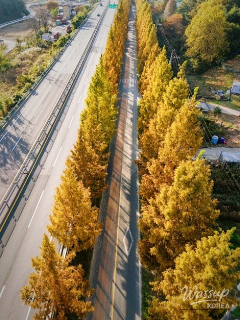 Mysterious appearance