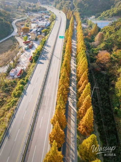 Impressive appearance