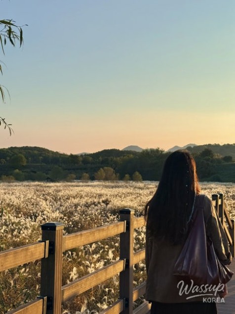 Peaceful scenery