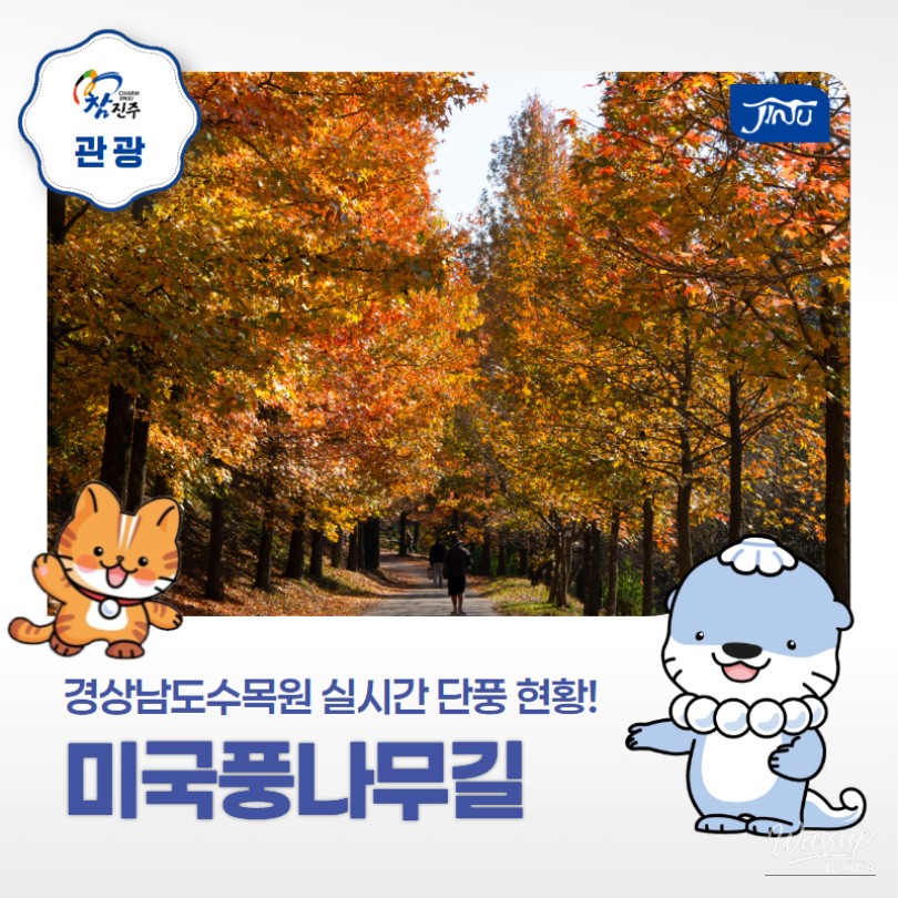 값진 경험