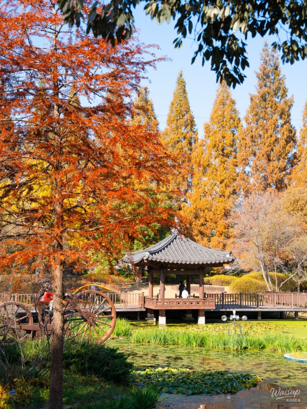 화려한 장면