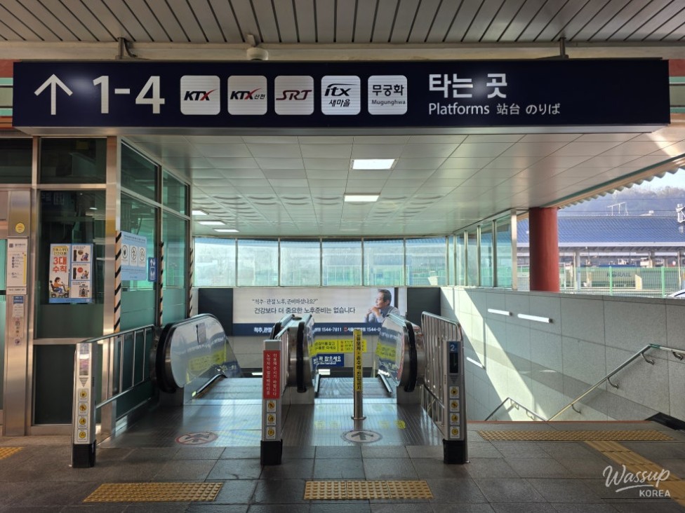소중한 기억