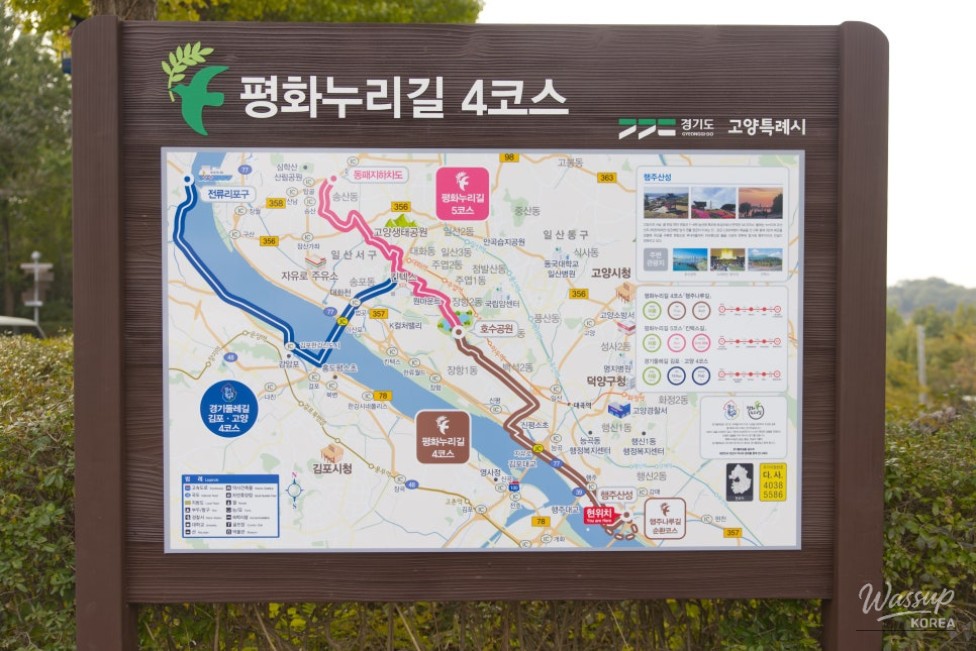 Vibrant yellow autumn leaves on the ground along the trail