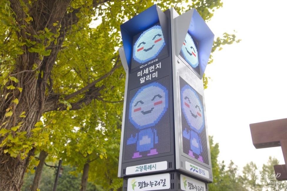 Autumn sunlight filtering through the trees at Haengjusanseong