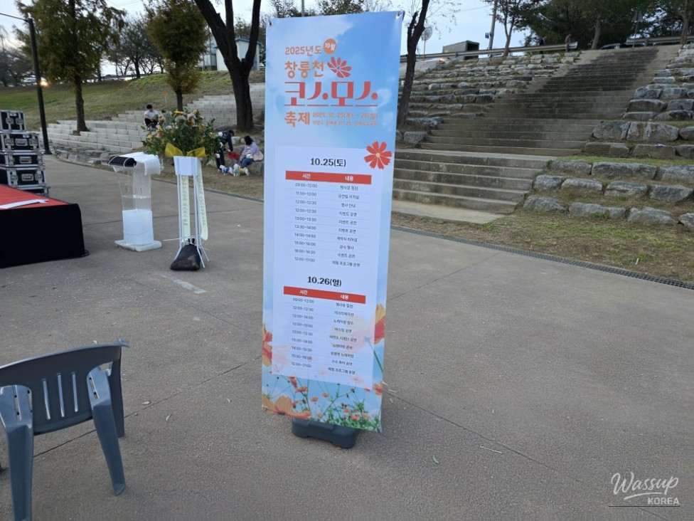 A family taking photos together in the middle of a pink cosmos field