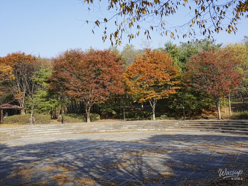 Wood-style picnic tables neatly arranged in the shaded forest area