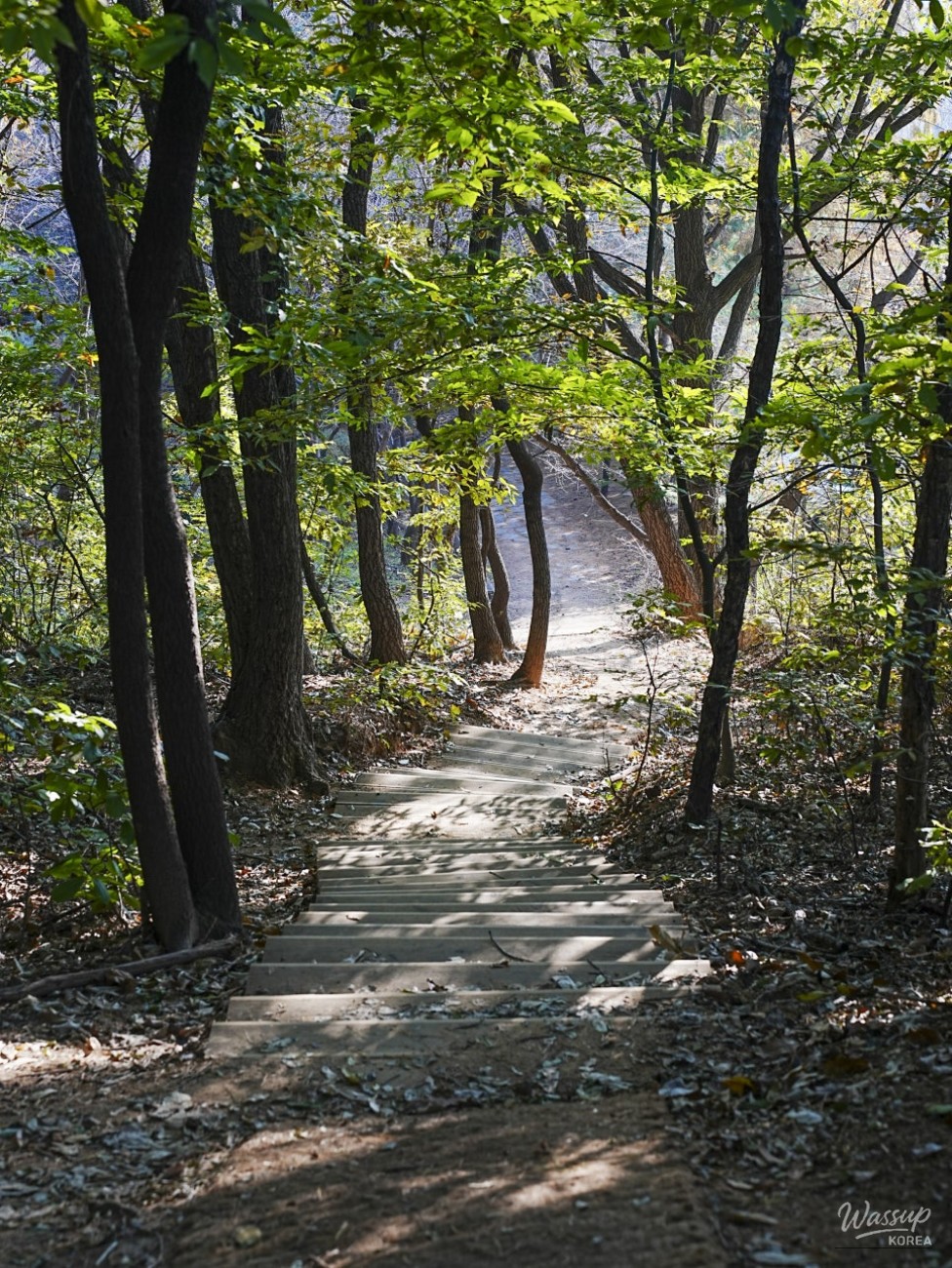 Outdoor exercise equipment area for park visitors