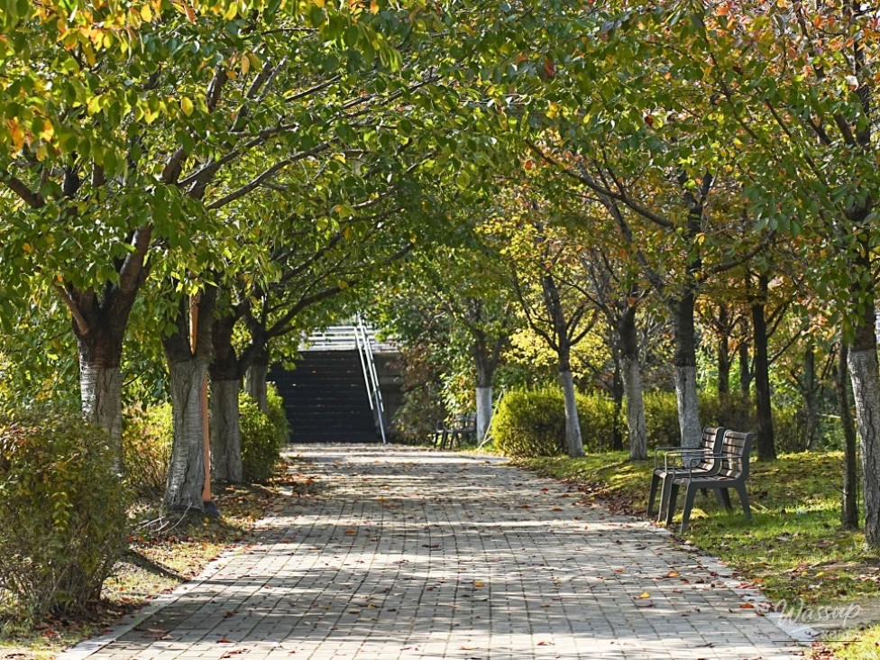 Detailed shot of the walking path materials and design