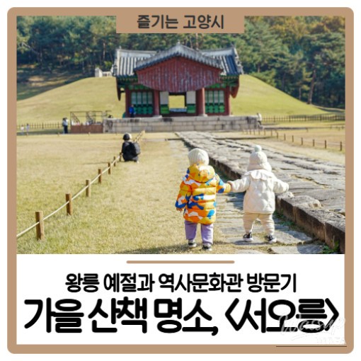 A serene view of the traditional architecture and autumn forest at Seooreung