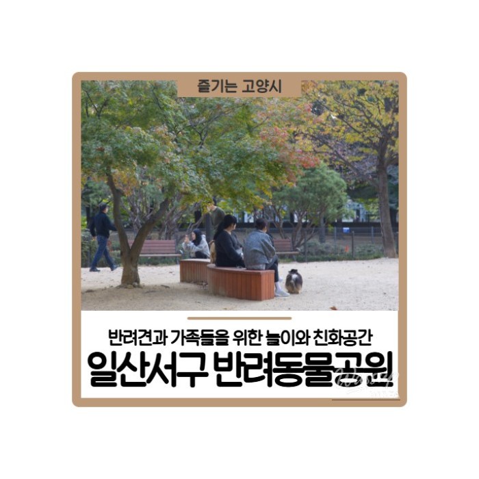 A wide view of the spacious Ilsan Seo-gu Pet Park with safety fencing and greenery