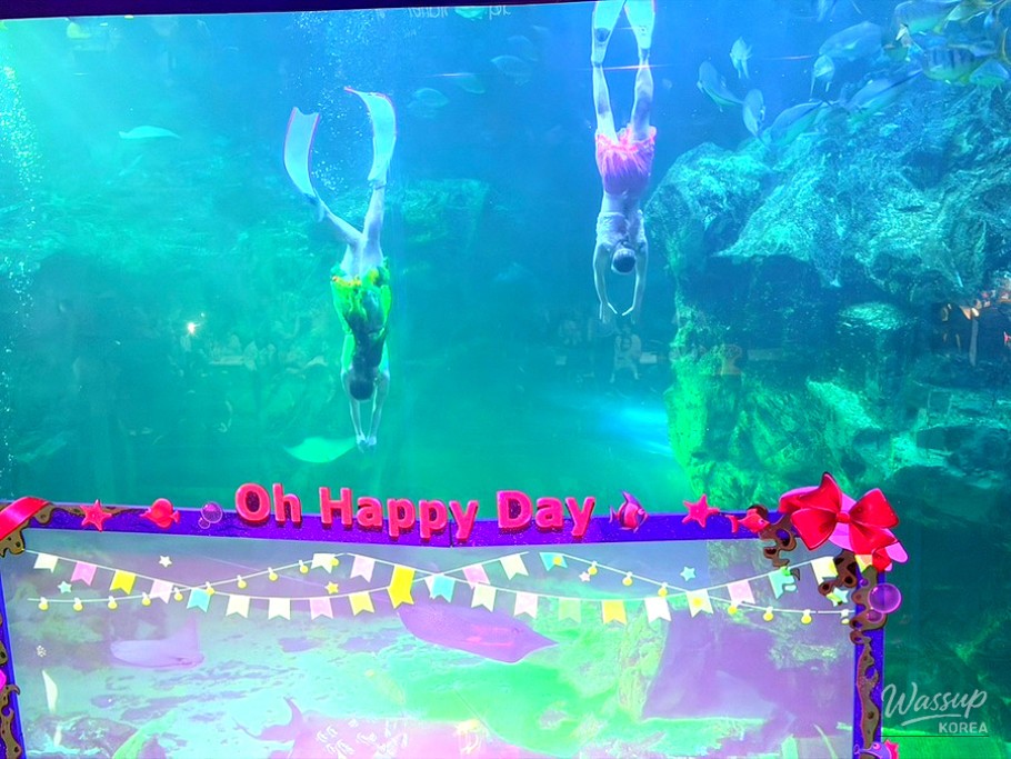 Cute penguins waddling together on their rocky habitat