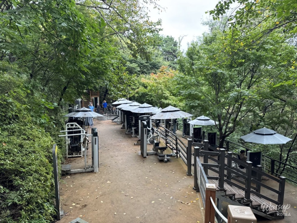 Vivid red maple trees lining the Goyang Nuri Trail