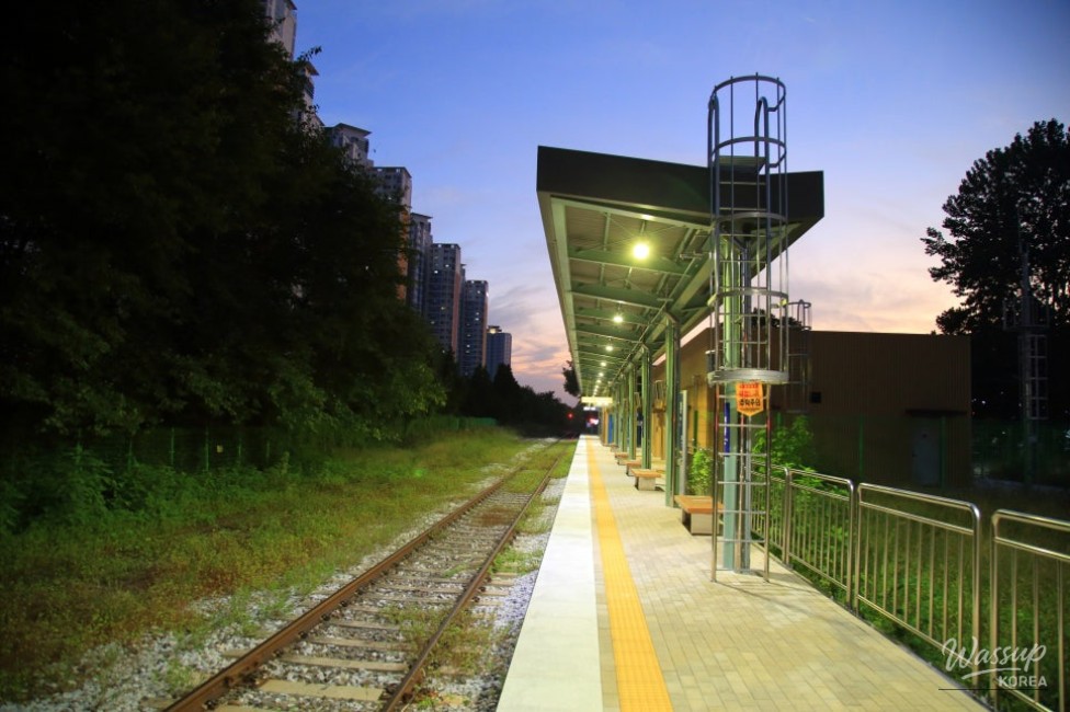 The nostalgic atmosphere of the unmanned Wonneung Station at night