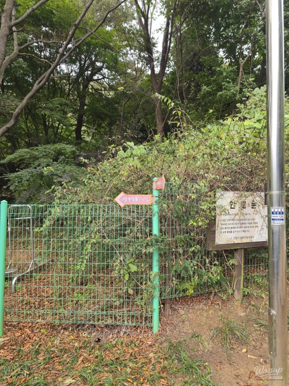 A final look at the peaceful unpaved road before entering the city area