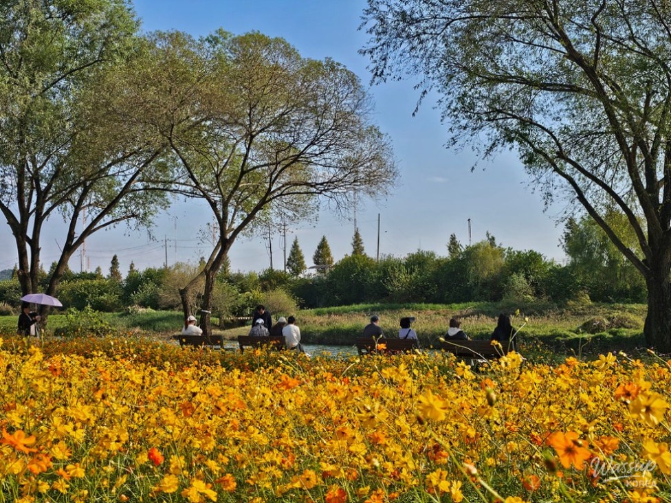 Vibrant petals radiating a warm and festive autumn feeling