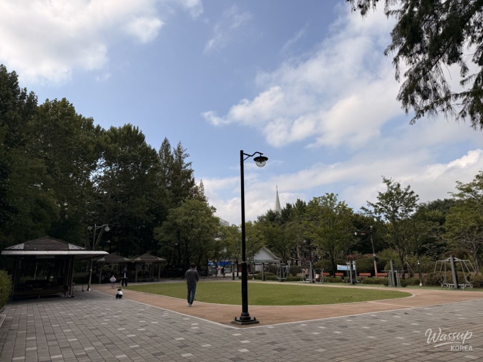 Soft light filtering through the trees onto the park benches
