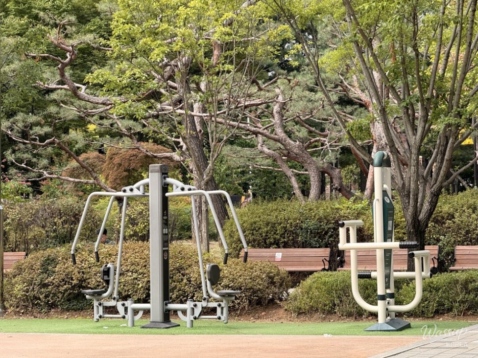 An overview of the fitness zone with various exercise equipment