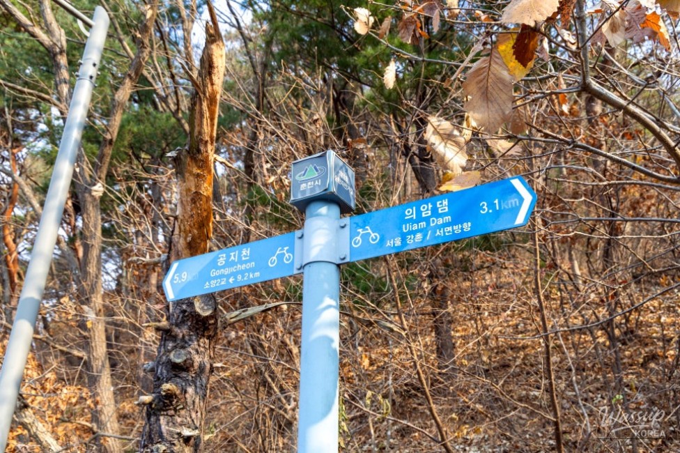 평화로운 풍경