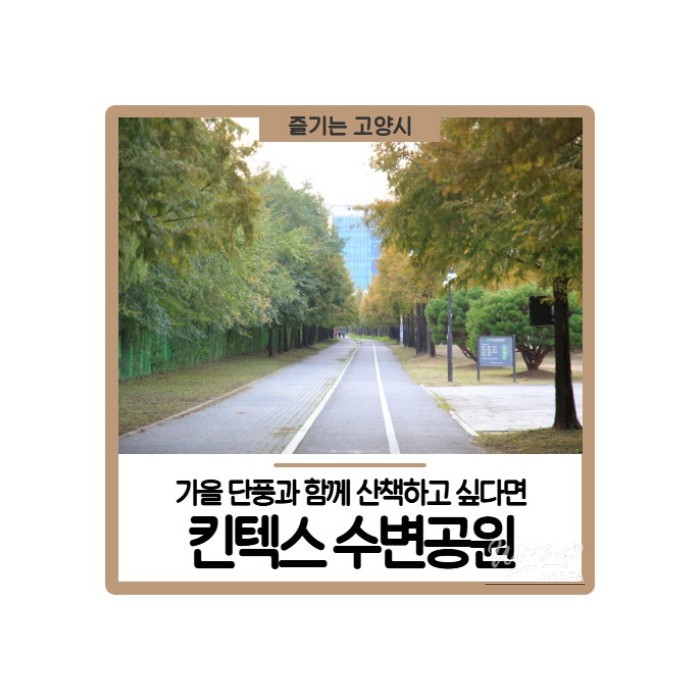 A serene view of the autumn foliage reflecting on the water at KINTEX Lakeside Park