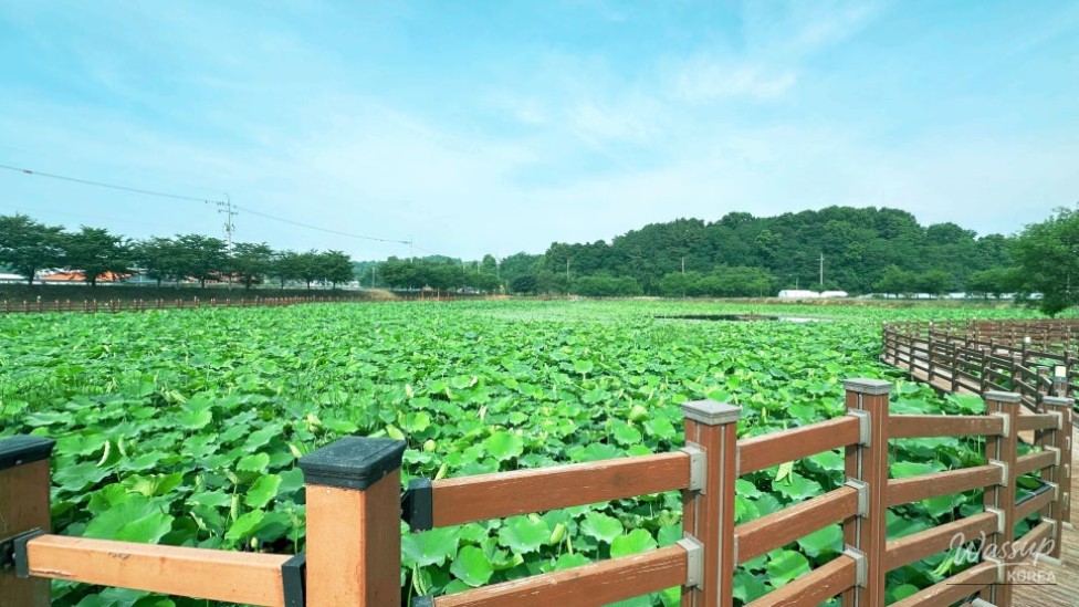 Peaceful scenery