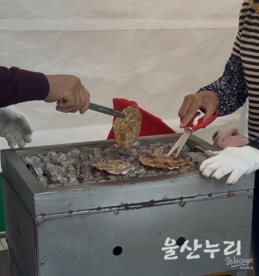 흥미로운 이미지