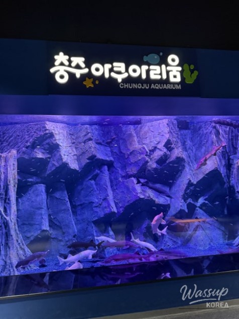 Impressive appearance