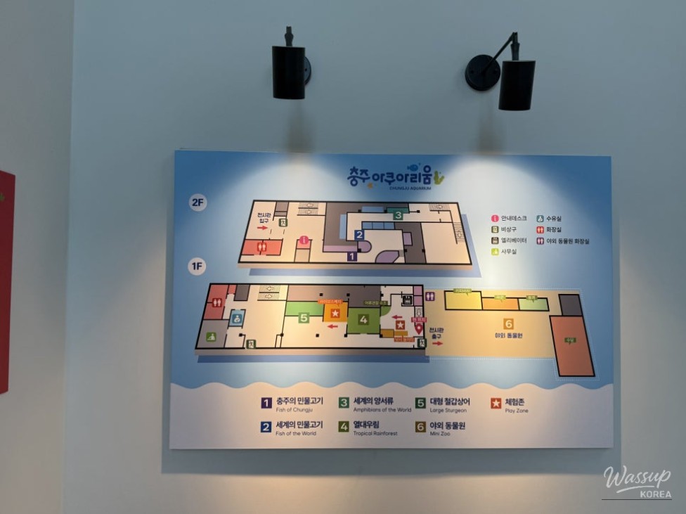 Mysterious appearance